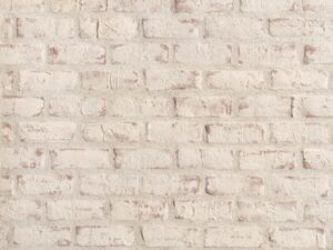 Ghosted Cannery Brick