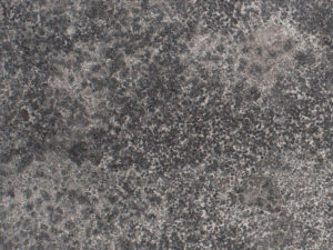 Hampton Limestone