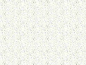 Standard White