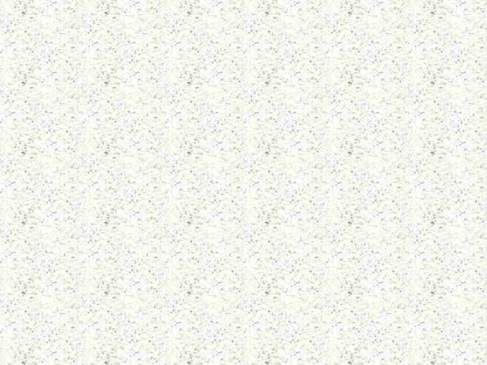 Standard White