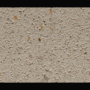 Aria Slim Alabaster Ground Face