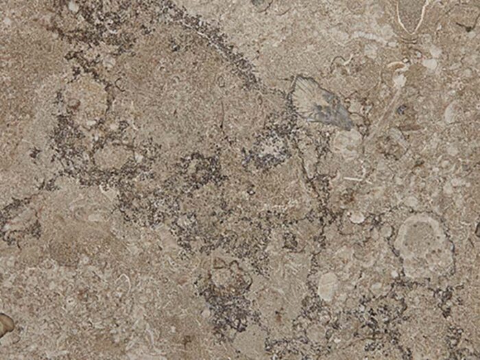 Carthage Marble - Fleuri Cut
