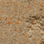 Trattino Coral