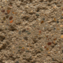Trattino Spice